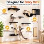 6-Piece Cat Wall Furniture Set with Hammock (Black) – photo 5