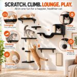 6-Piece Cat Wall Furniture Set with Hammock (Black) – photo 7