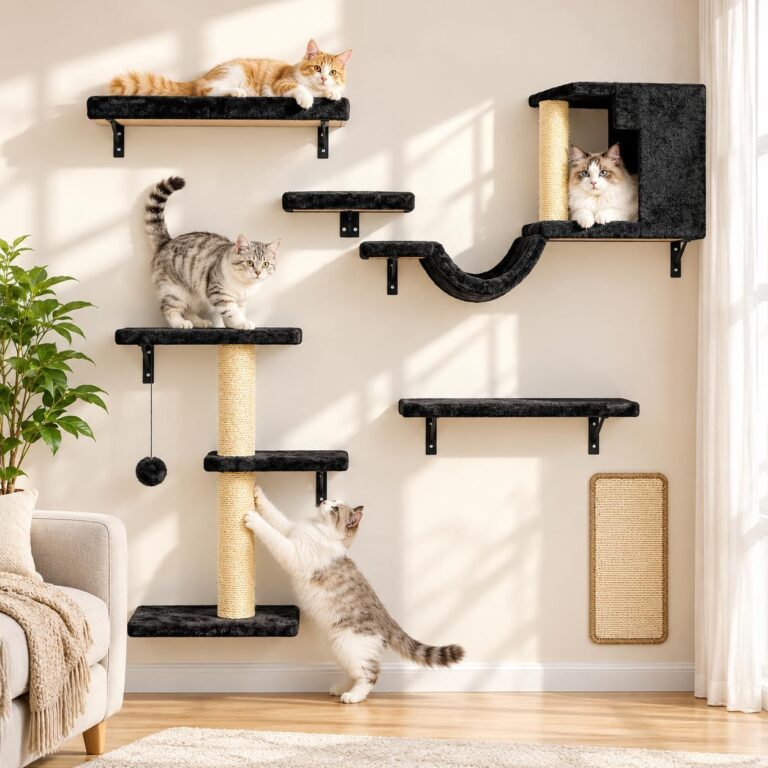 Cat Wall Shelves, Black, 6 in 1 Wall Mounted Cat