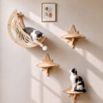 Moon & Star Cat Wall Shelves, Modern Cat Wall Furniture